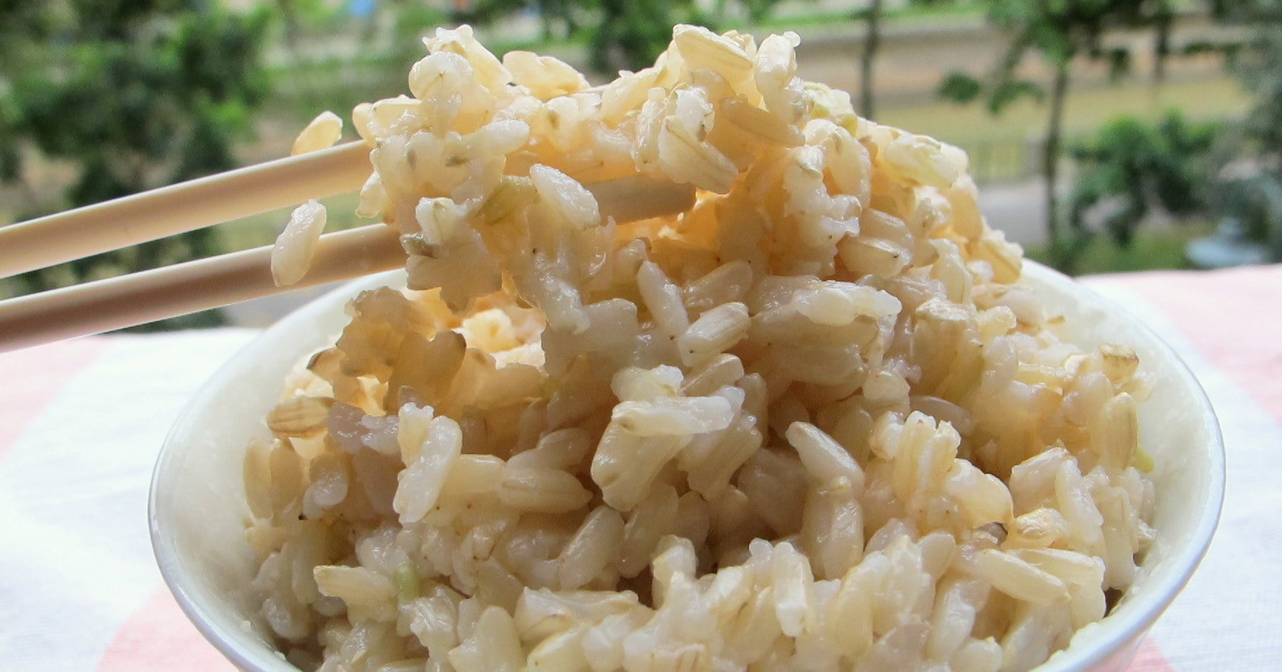 Gabia Rice Cutting Down On White Rice? The New GABA Rice Is A Healthier Alternative