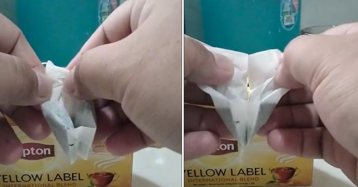 Viral Video Shows Someone Discovering That You Can Split A Tea Bag To ...