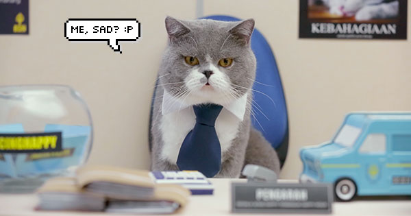 [VIDEO] SAYS Interviews Kucing Happy, Tours His Office And Finally ...