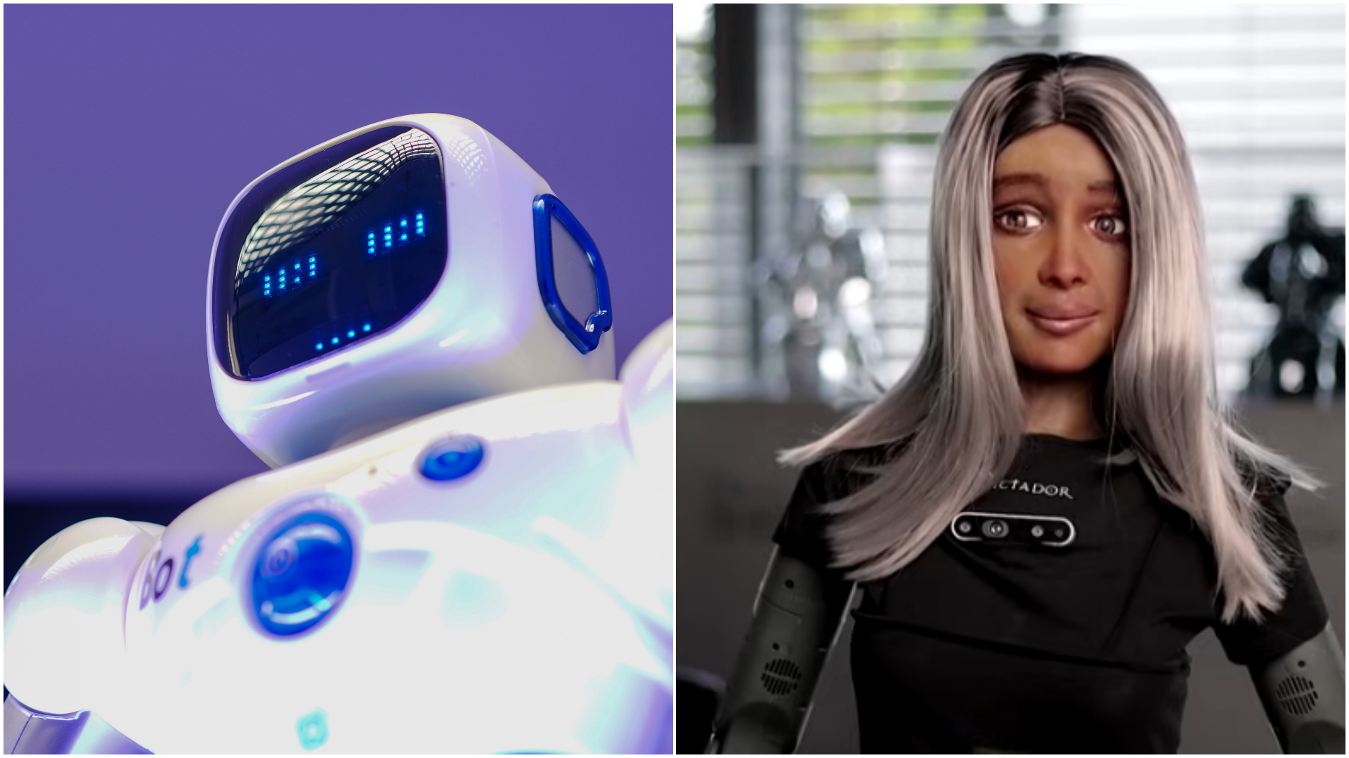 Polish Company Appoints AI-Powered Robot As CEO