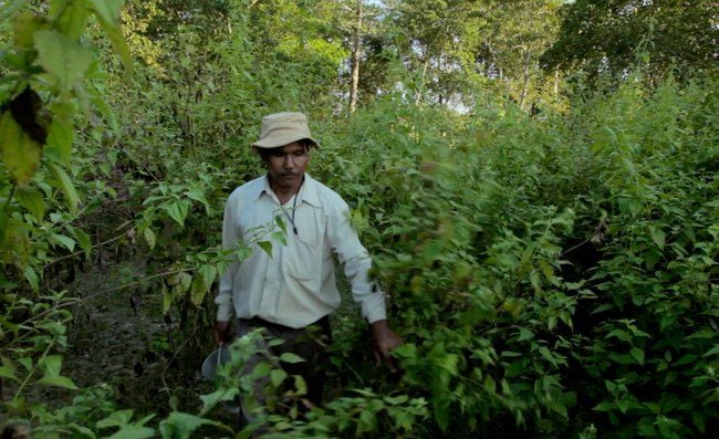 Unbelievable! This Indian Man Turned This Barren Wasteland Into A Lush ...