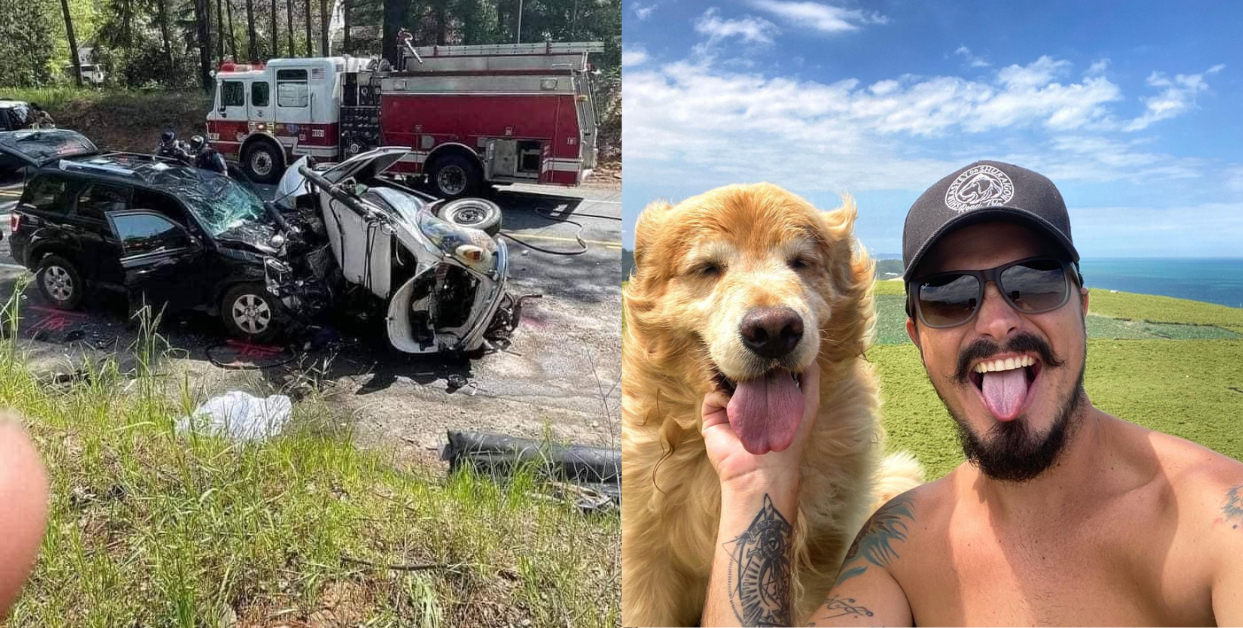 Man & His Pet Dog On Road Trip Across US Die In Accident Before Their ...