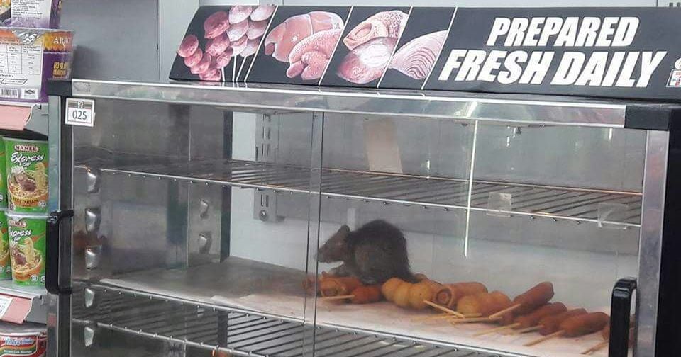 A Rat Was Spotted Sitting On Freshly Prepared Food In A 7-Eleven Outlet