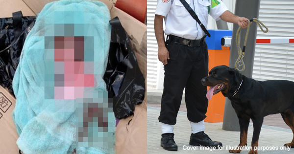 Newborn Baby Dumped In A Rubbish Bin Was Found By An Ampang Security ...