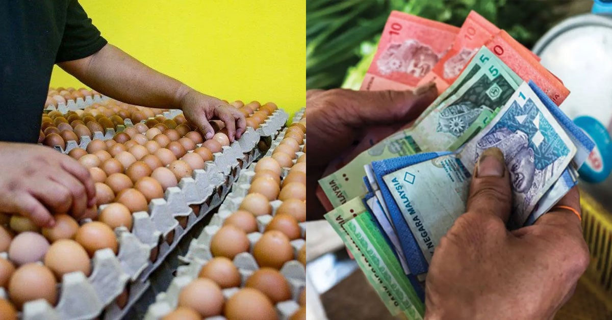 Egg Prices To Increase As Govt Plans To Remove Subsidies Completely By ...
