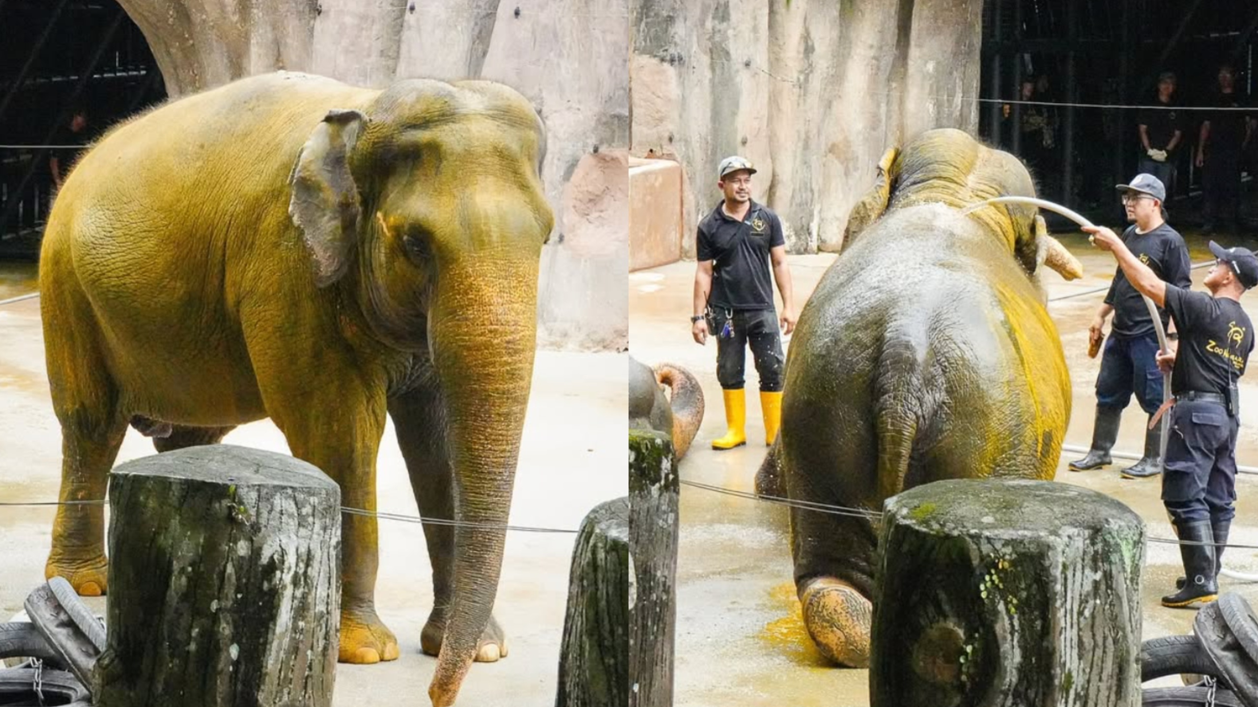 Beautifulnara Ohbulan