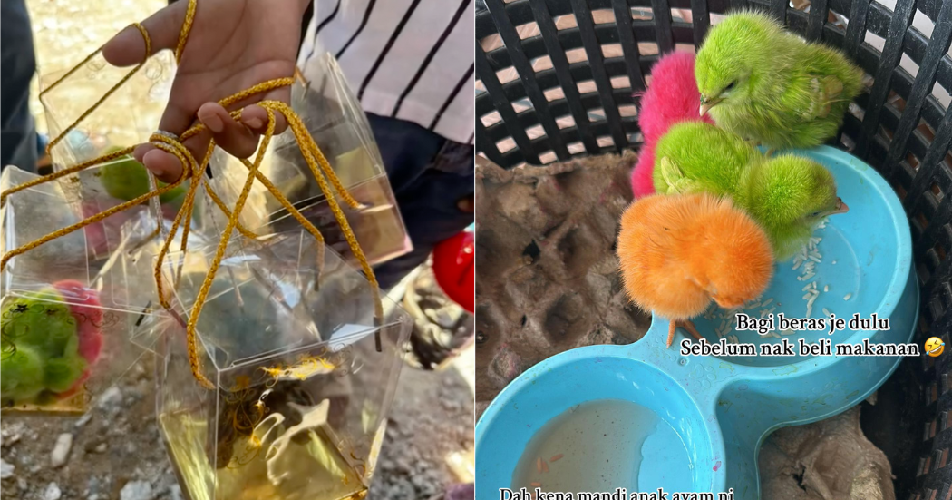 Latest Wedding Trend Sees Newlyweds Gifting Chicks As Doorgifts