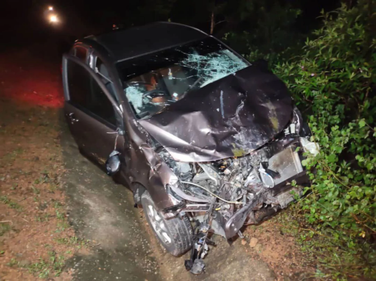 Baby Dies After Car Crashes Into A Herd Of Cows In Pahang