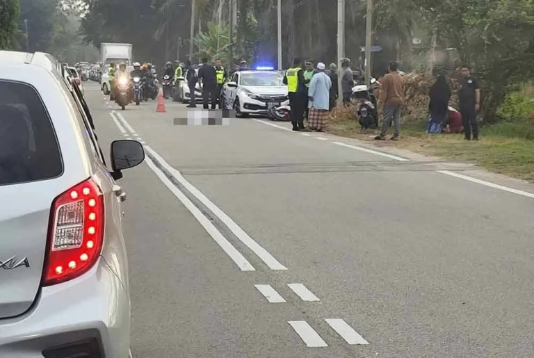 Motorcyclist Dies After Colliding With Horse On His Way To Work