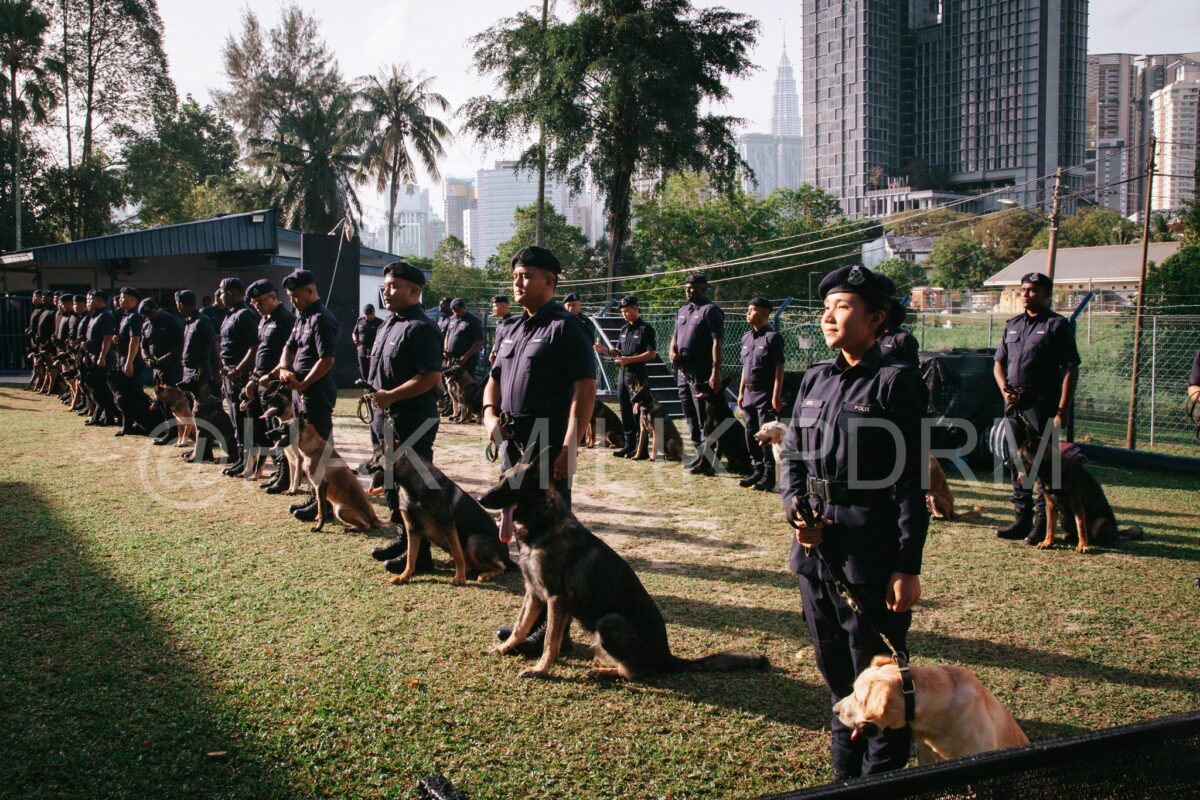 [PHOTOS] PDRM’s K9 Unit Puts On Impressive Demo For Deputy IGP