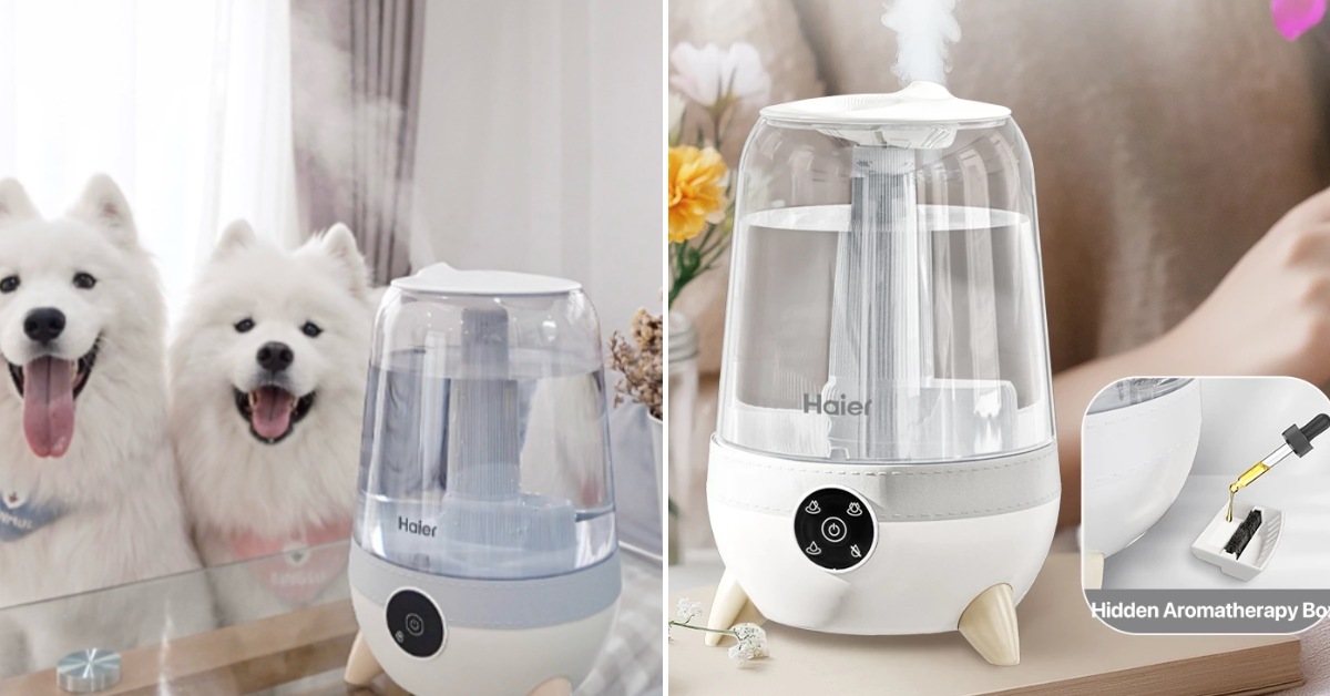 This Cute Humidifier Makes Your Room Feel Like A Mini Spa