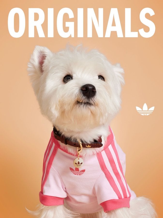 SAYS.com