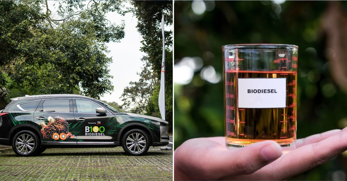 Malaysia accelerates biodiesel mandate to B15 from June, targets B50 within three years — image 2