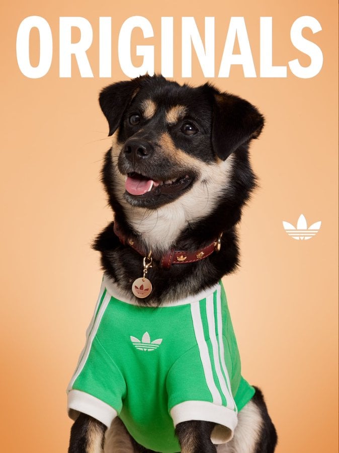 SAYS.com