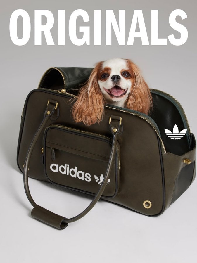 SAYS.com