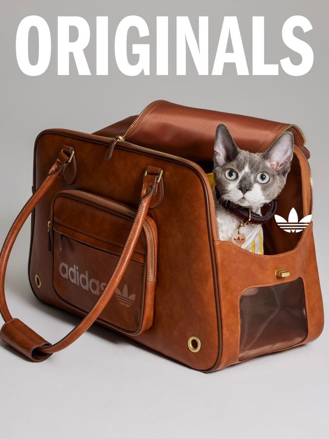 SAYS.com