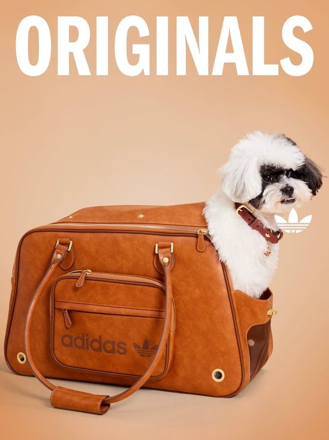 SAYS.com