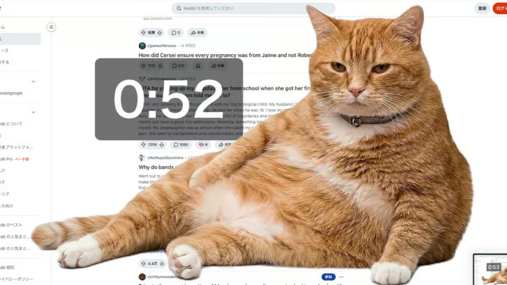 SAYS.com