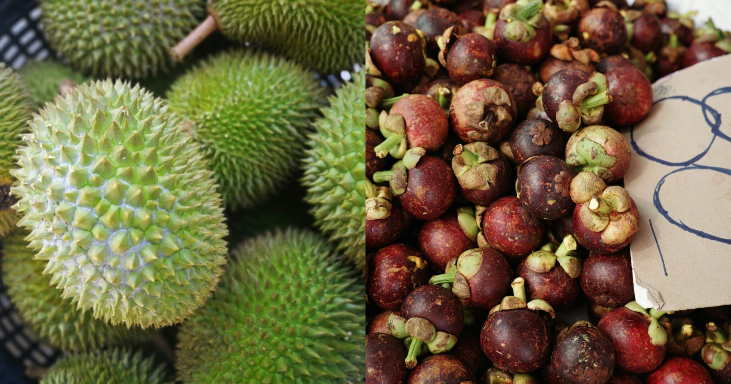 Manggis Kini Lebih Mahal Daripada Durian Disebabkan Kekurangan Bekalan