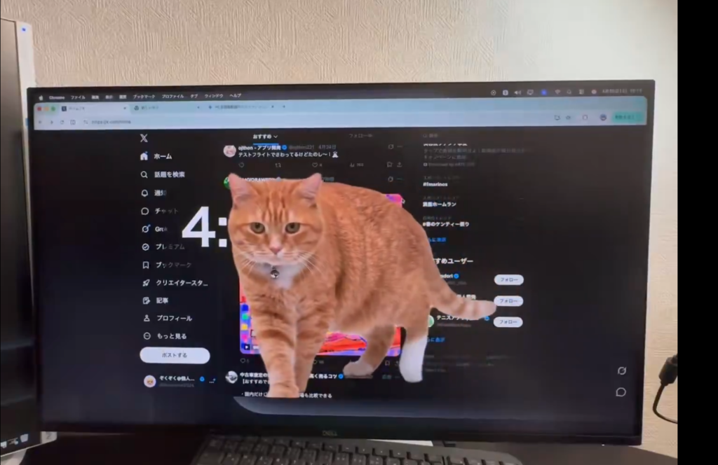 SAYS.com