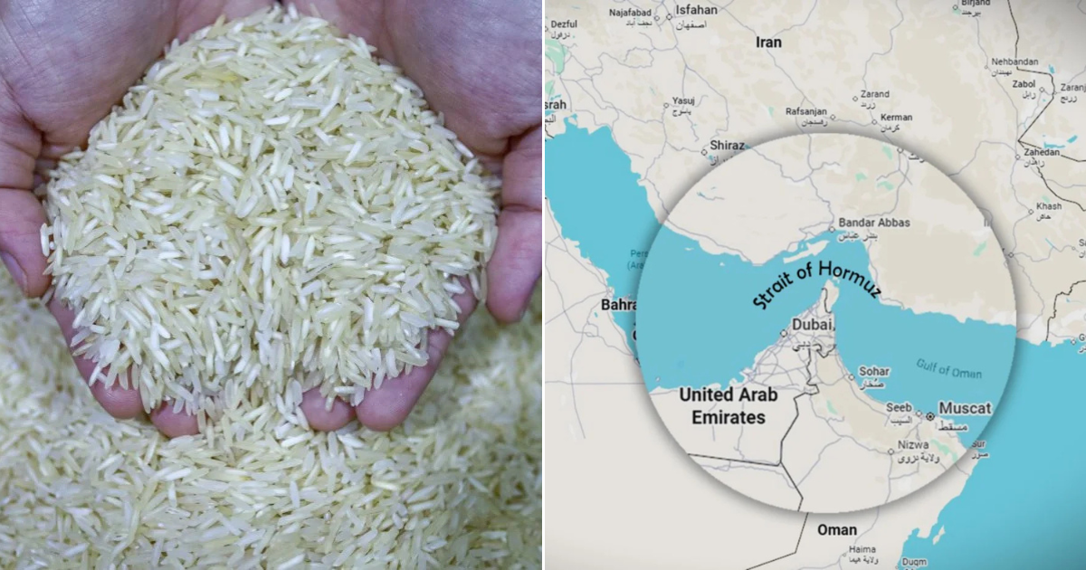 M’sia Prepares 9 Months Of Rice Supply As Buffer Against Global Energy ...
