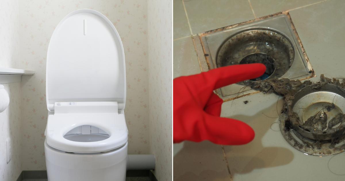 Fly In Toilet How To Get Rid Of Drain Flies In Your Toilet And Keep Them From Coming Back