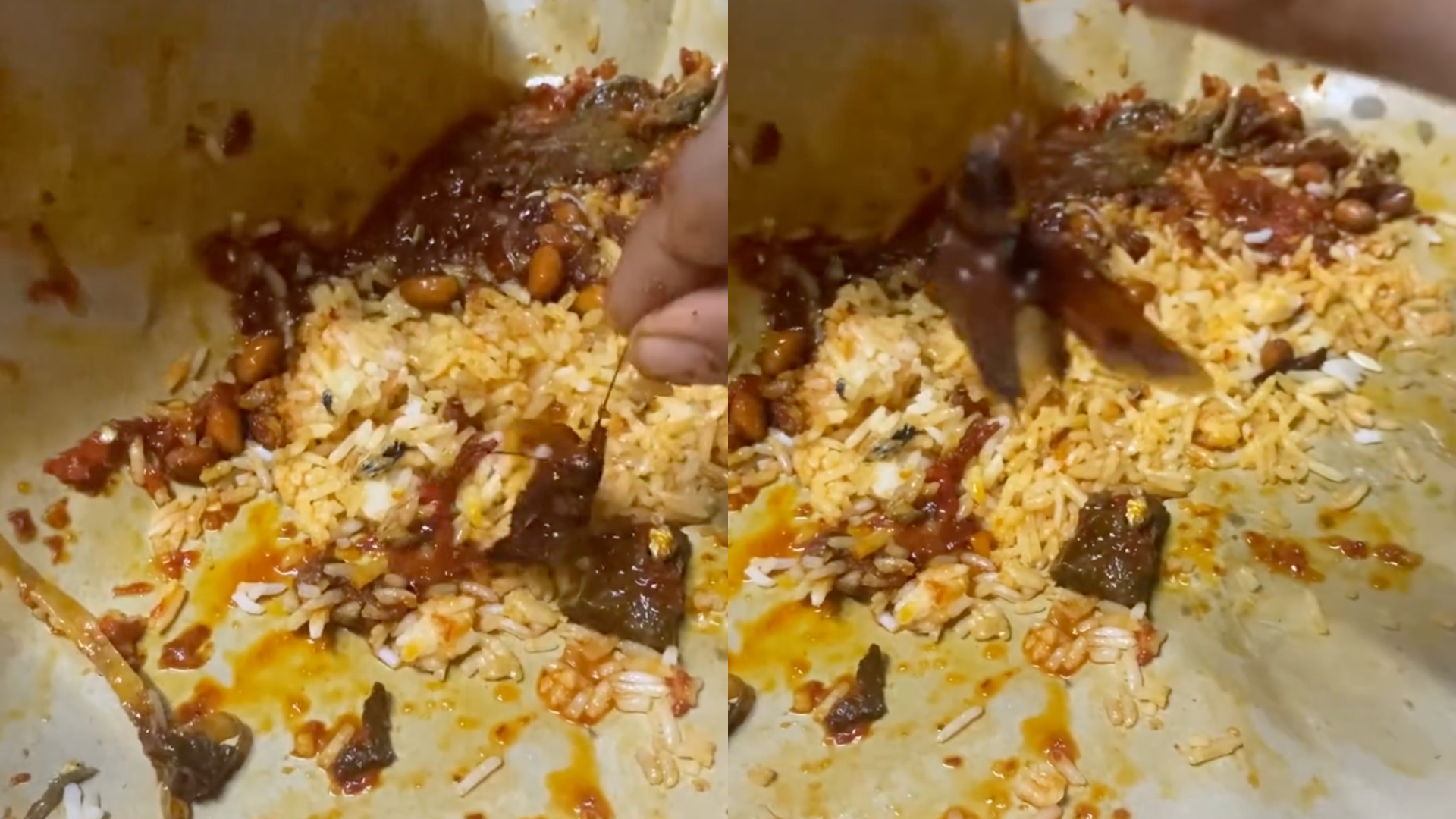 Wanita Dakwa Jumpa Lipas Dalam Nasi Lemak Sambal Paru Di Kota Masai – “Dah Separuh Makan Baru Nampak”