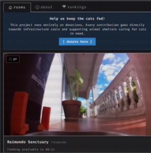 [WATCH] This Website Allows You To Remotely Feed Cats Around The World