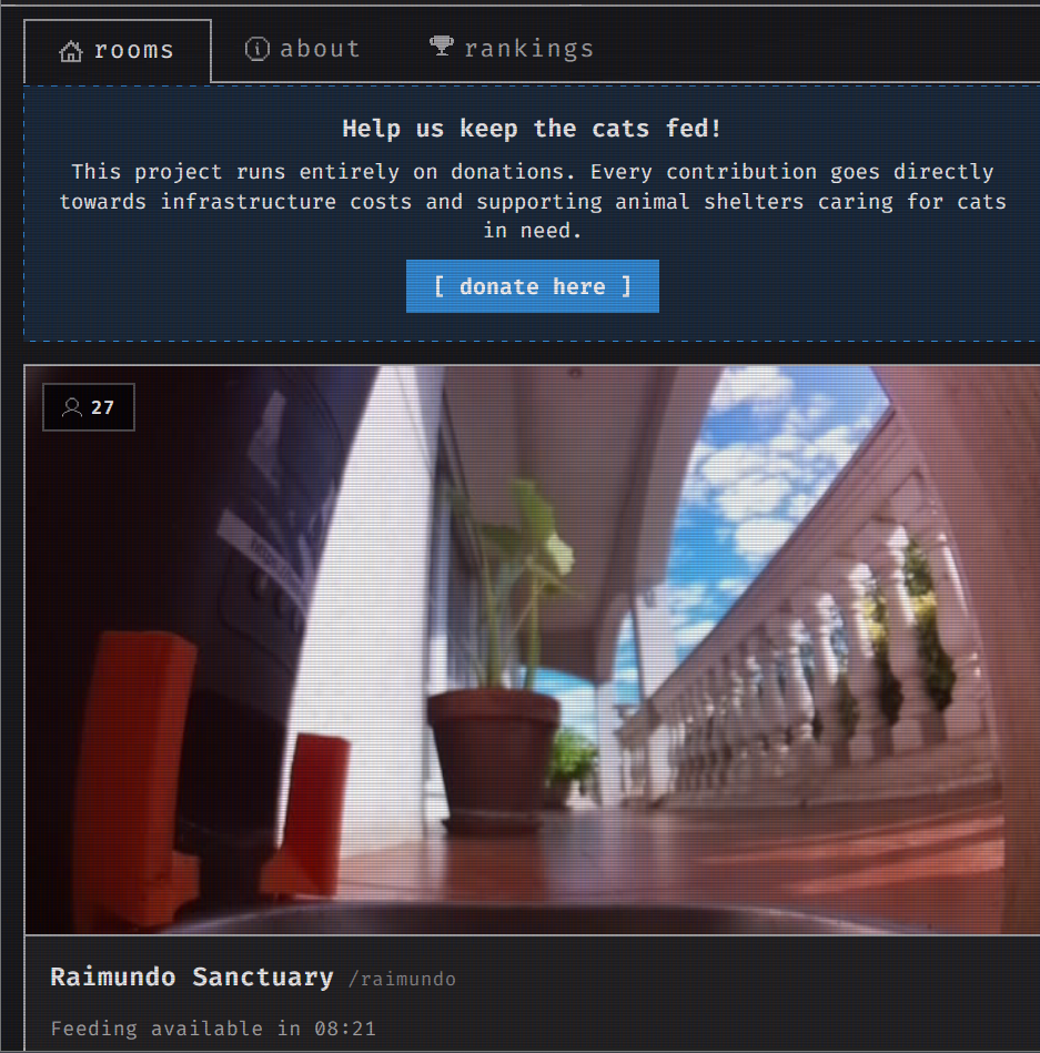 SAYS.com