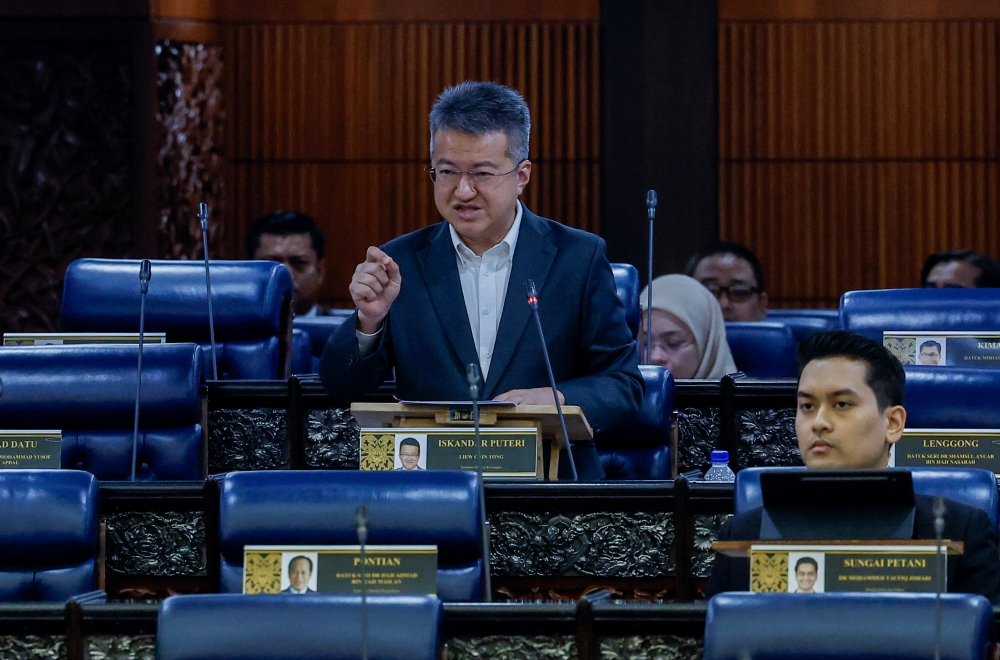 Deputy Minister Finance Liew Chin Tong