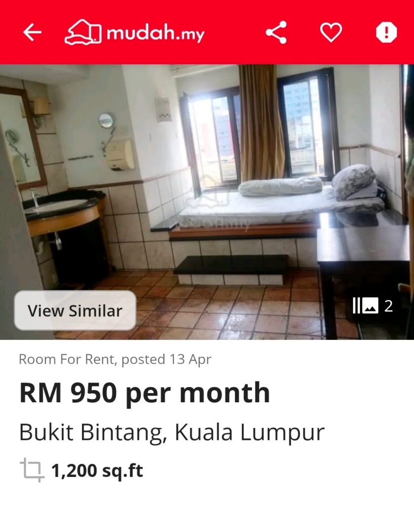 SAYS.com