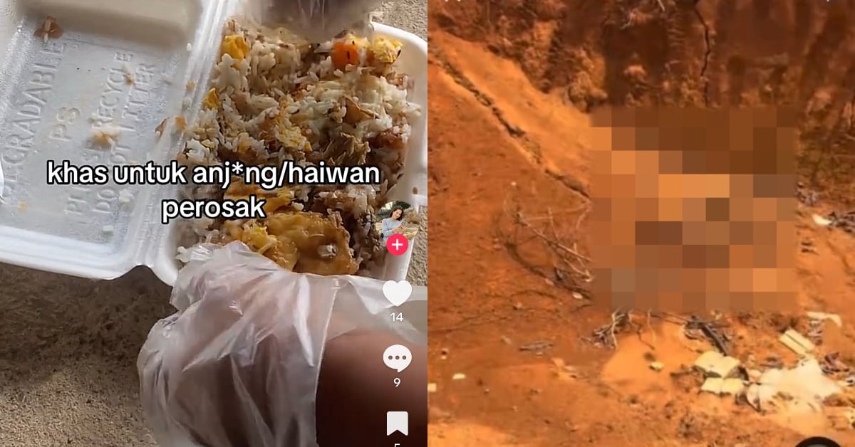 Tular Akaun Affiliate Promosi Racun Anjing, Netizen Luah Rasa Marah & Simpati