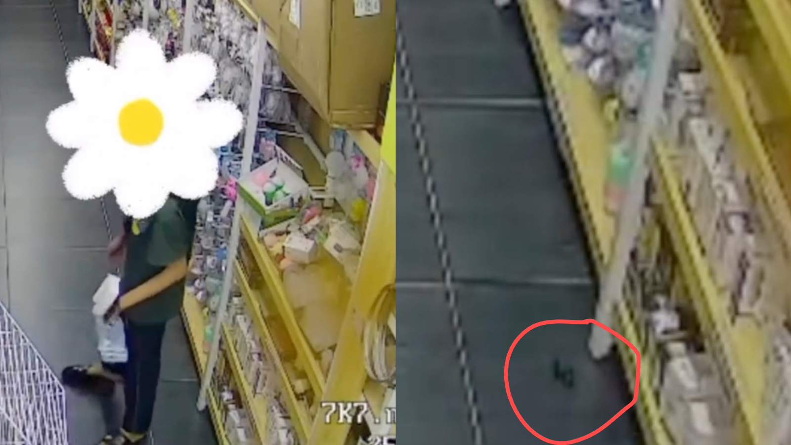 Kelakuan Pelik, Gadis Selamba Buang Air Besar Dalam Kedai Serbaneka Jadi Bualan Ramai