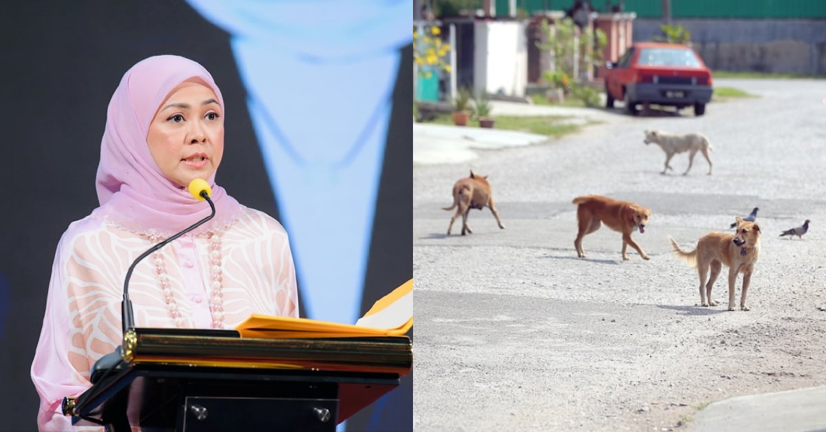 Tengku Permaisuri Selangor Condemns Animal Cruelty, Says ‘No One Is Above The Law’