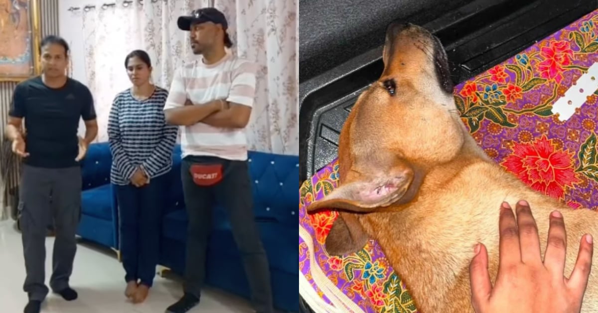 Klang Couple Says Rocky Lived With Them For 2 Years, Was Let Out At Night