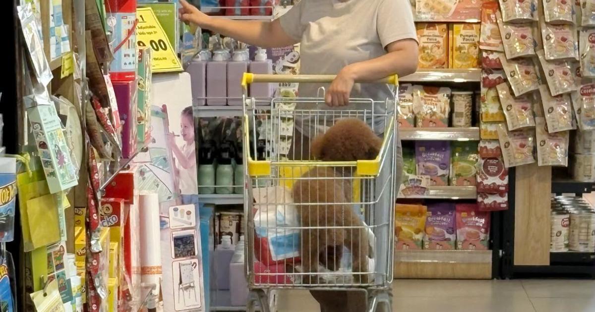 Retailer Apologises After Dog Seen In Shopping Trolley, Says It Has Carried Out ‘Sertu’