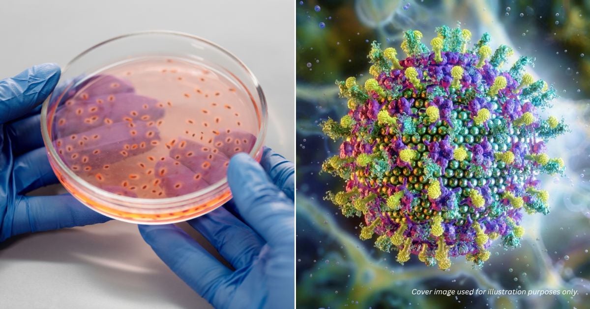 AI Has Now Designed Functional Viruses From Scratch, Scientists Say
