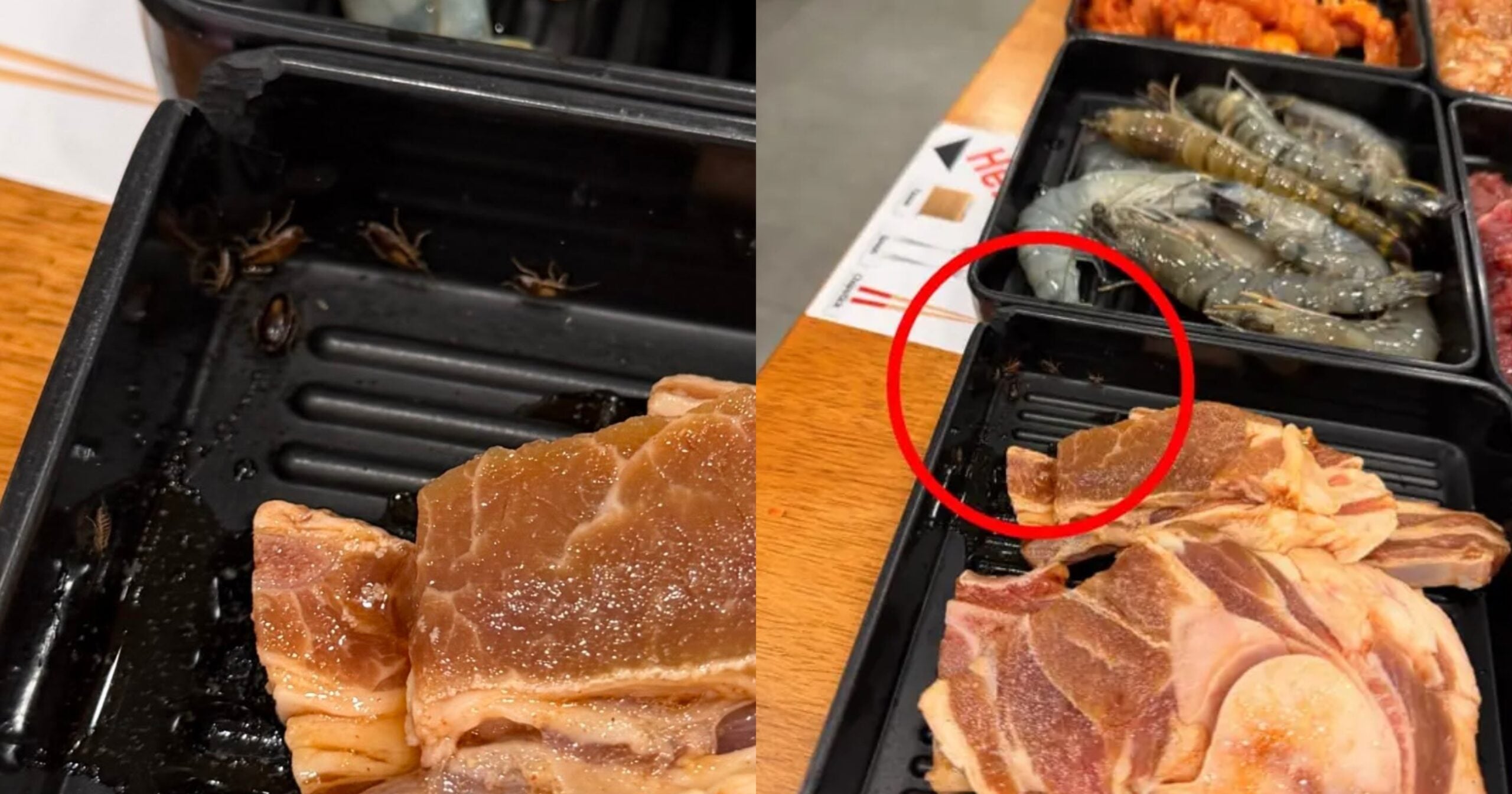 Wanita Jumpa Lipas Kecil Merangkak Dalam Bekas Makanan Restoran BBQ Di Pusat Beli-Belah