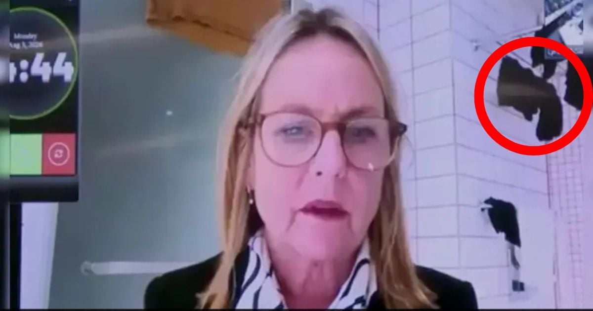 [VIDEO] NZ Politician Attends Meeting From Bathroom With Laundry On Display
