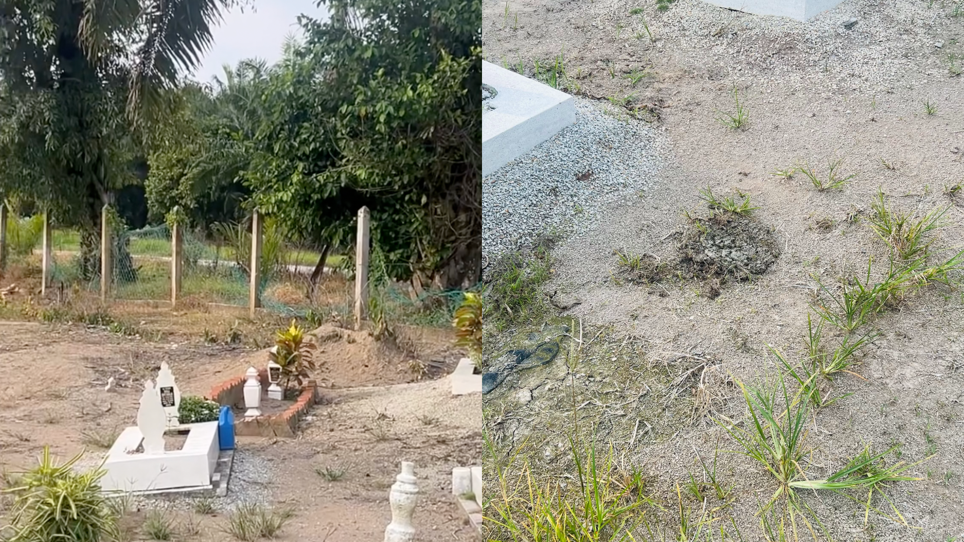 Pagar Reput Di Tanah Perkuburan, Syed Saddiq Respons Segera Lepas Terima Aduan