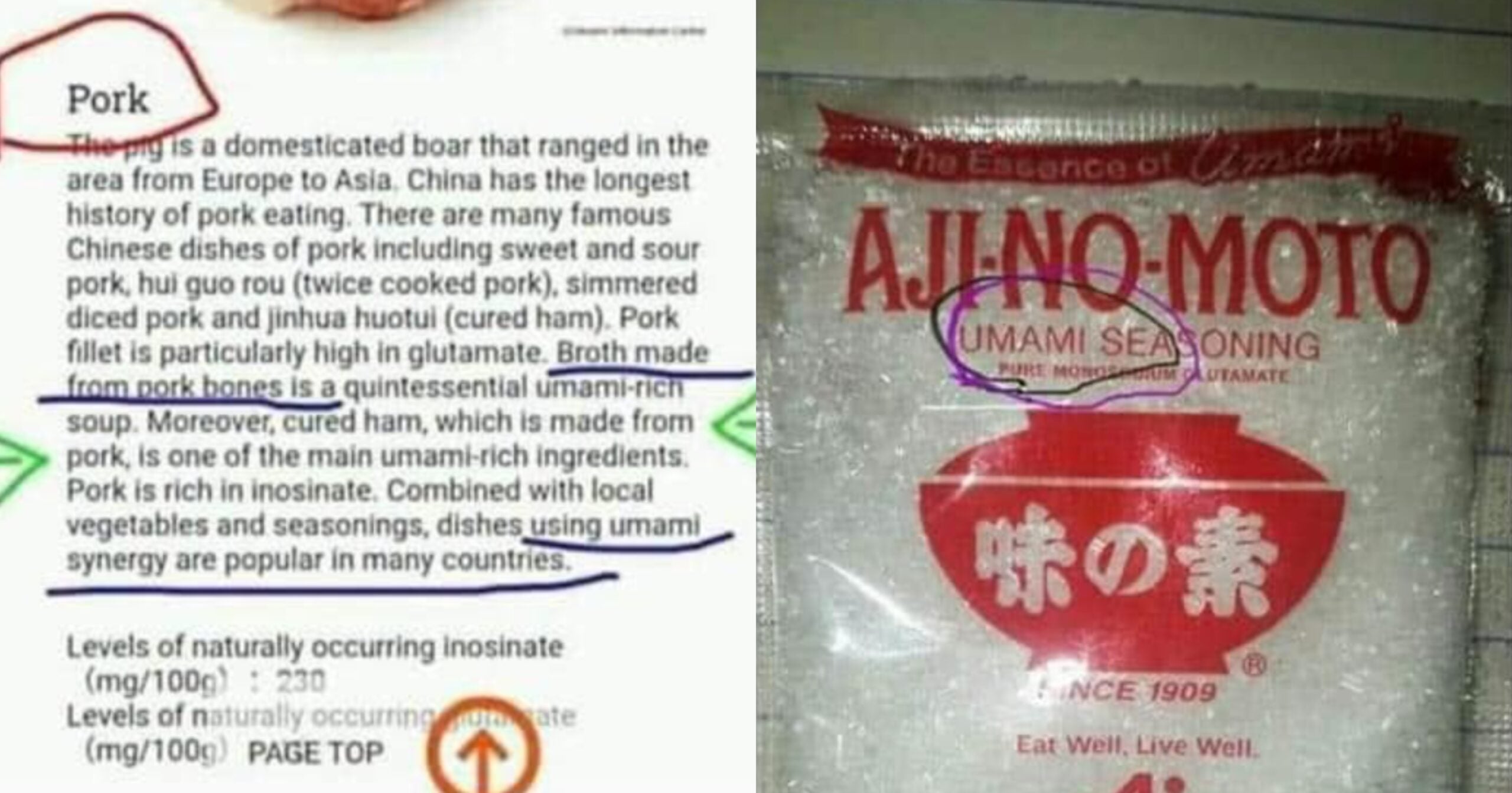 Tular Isu MSG Tak Halal? BKKM Nafi Dakwaan Bahan Perasa Masakan Mengandungi Babi