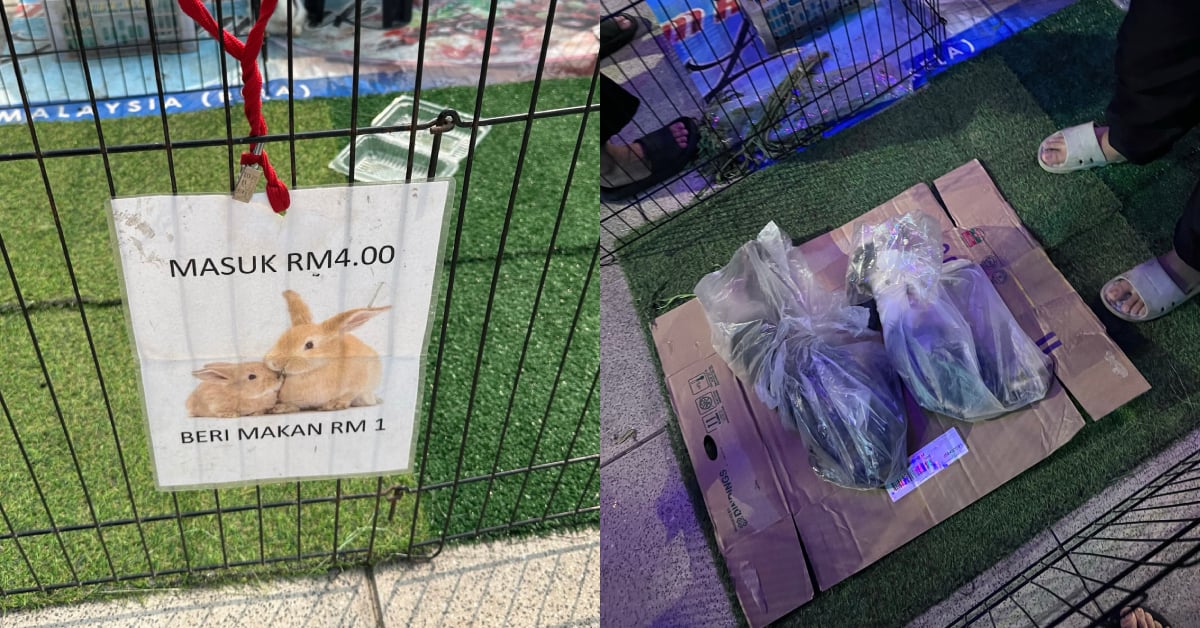 Rabbits Found Dead After Allegedly Being Left Outside For Hours In Afternoon Sun