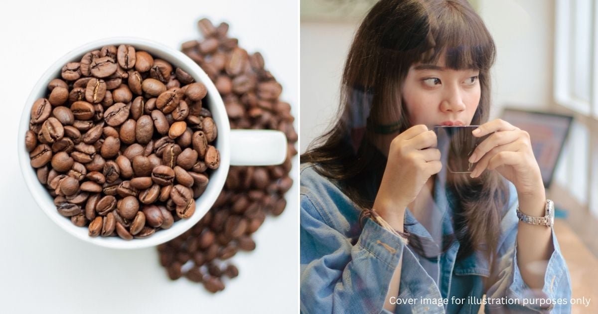 Ultimate Coffee Guide: Understanding Beans, Roasts & Acidity