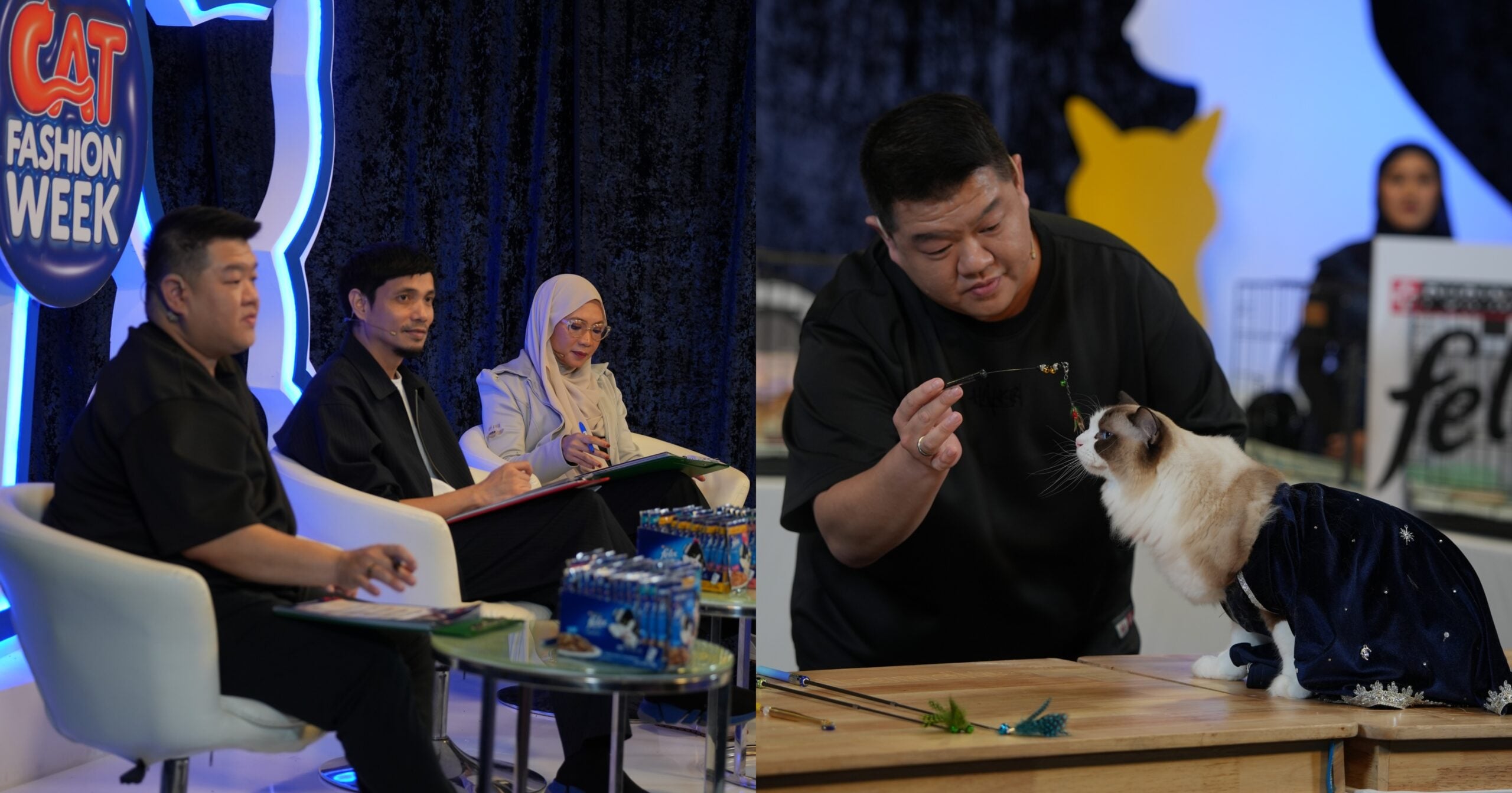 Cat Fashion Week Kembali Lagi Di TV3 Dengan 20 Kucing Akan Bersaing Jadi Next Top Meowdel