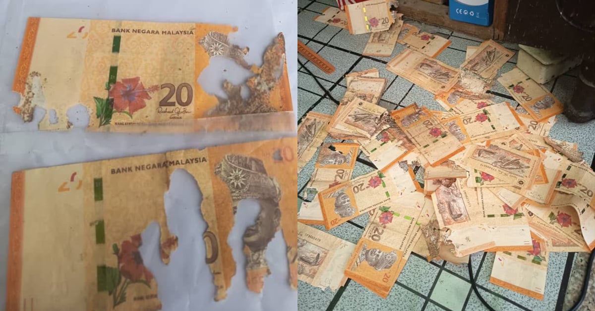 Hanya Mampu Tahan Sebak, Wanita Rugi RM2,000 Selepas Duit Simpanan Dimakan Anai-Anai