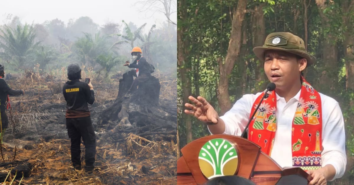 Kebakaran Hutan Indonesia Boleh Berlarutan Sehingga November – Menteri Perhutanan Indonesia