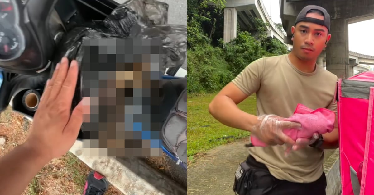 Sikap Murni Rider Selamatkan & Kebumikan Kucing Kemalangan Dipuji Ramai