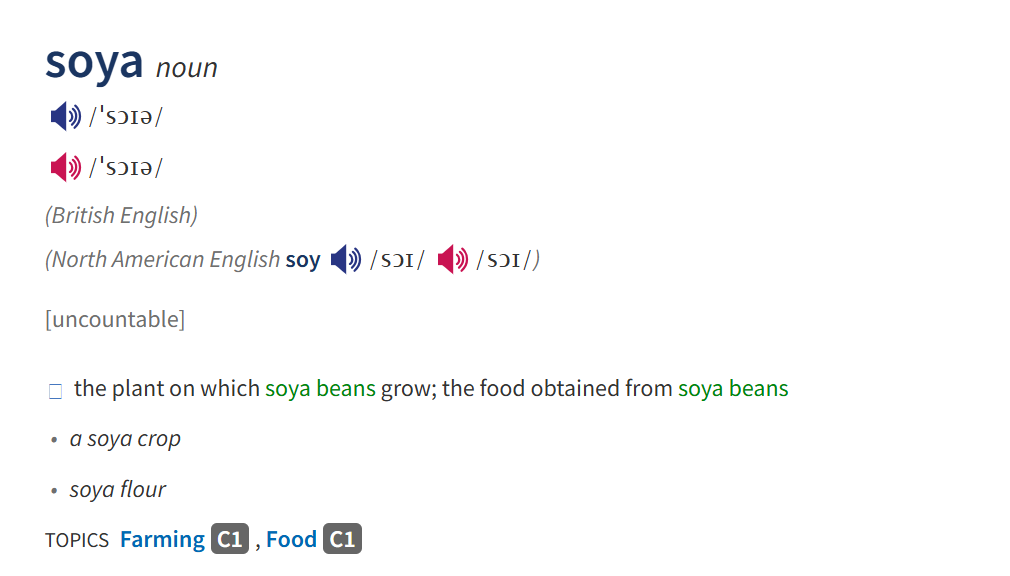 SAYS.com