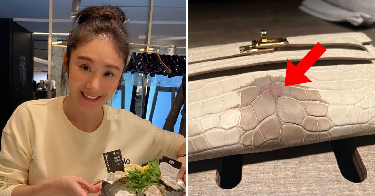 Restaurant Says CEO Seeks RM120,000 Compensation Over Wine Allegedly Spilled On Her Hermès Bag