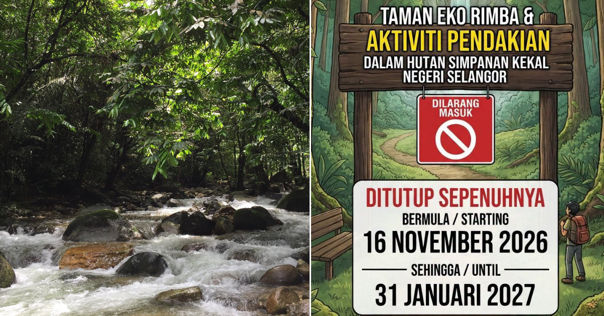 All Selangor Forest Eco Parks & Hiking Activities To Close Temporarily From 16 November